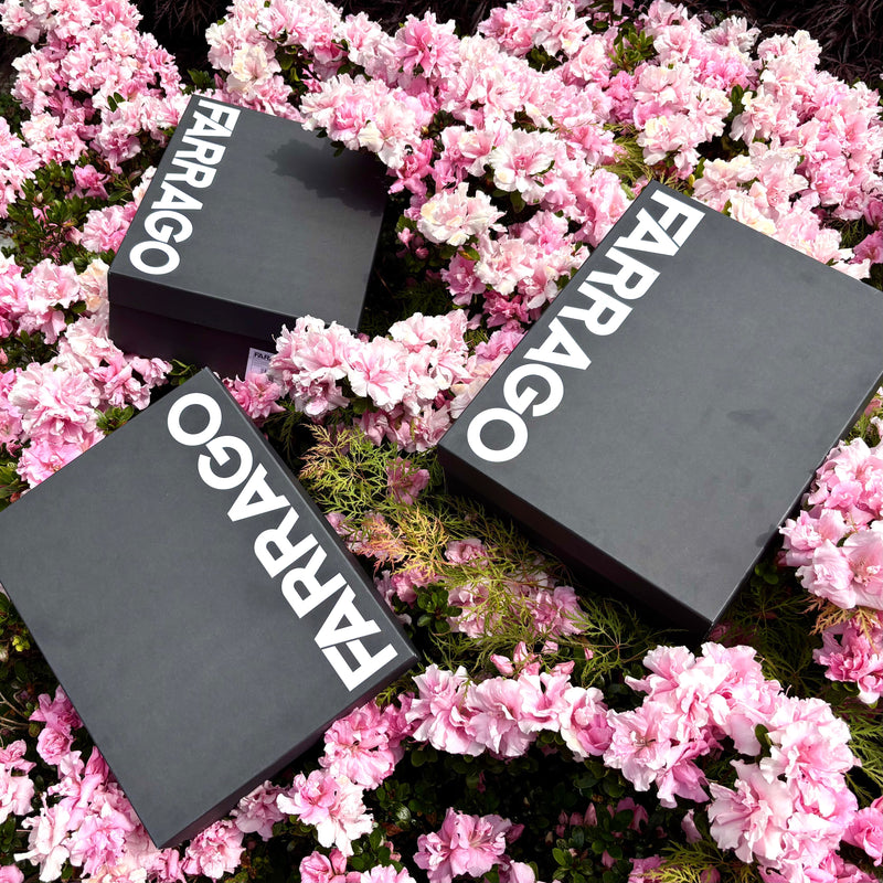 Wedding Guest Shoe Guide